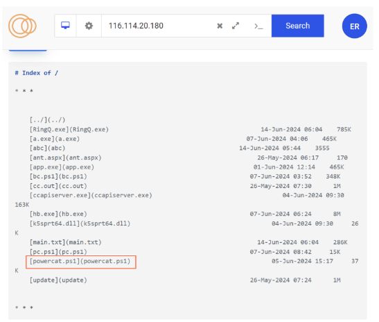 Powershell implementation of Netcat